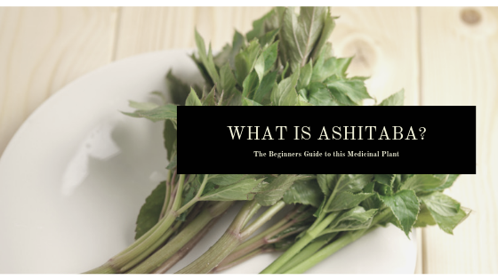 What is Ashitaba? The Beginners Guide to this Edible Plant