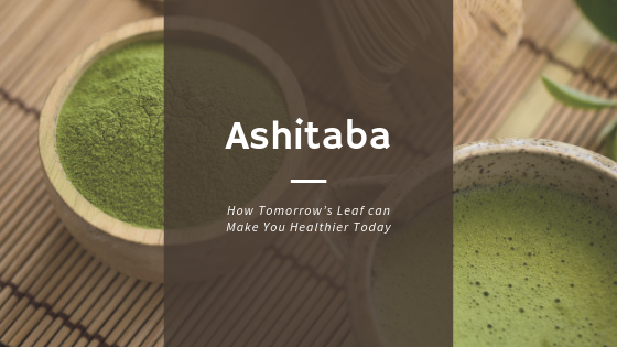 Ashitaba: How Tomorrow’s Leaf can Make You Healthier Today